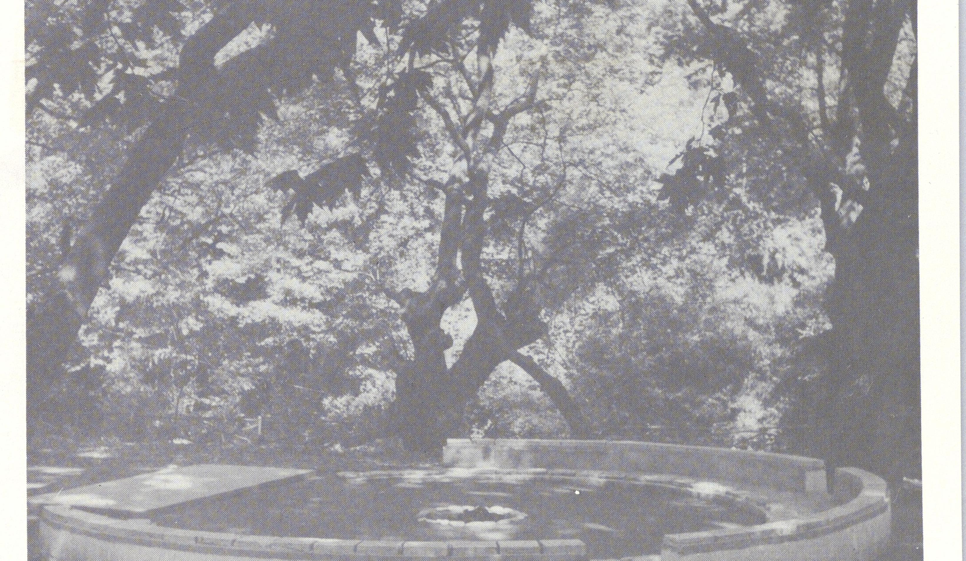 1013000060_0035_3_photo1