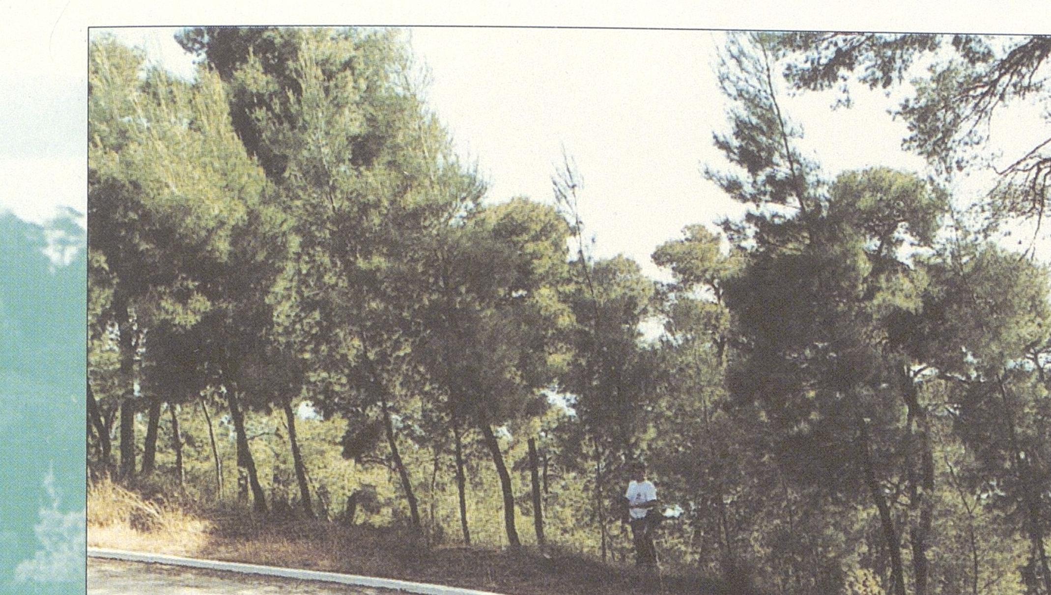 1013000061_0058_photo0