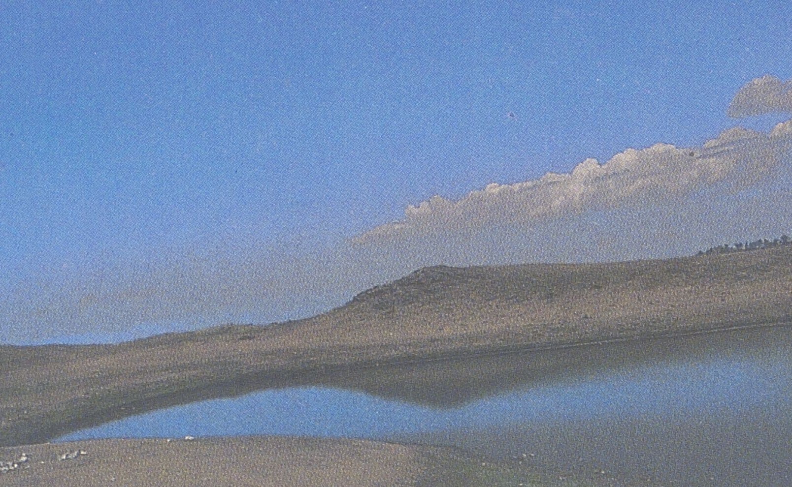 1013000075_0033_1