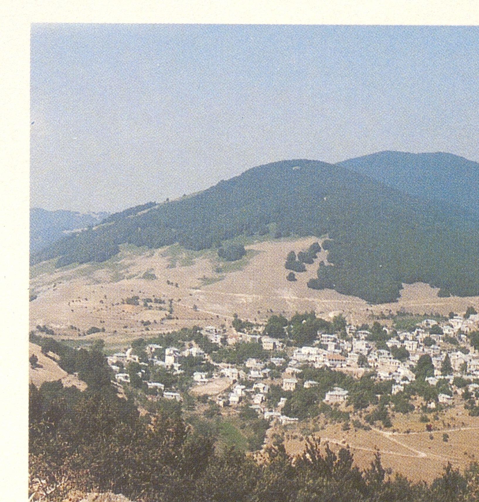 1013000078_0028_photo2