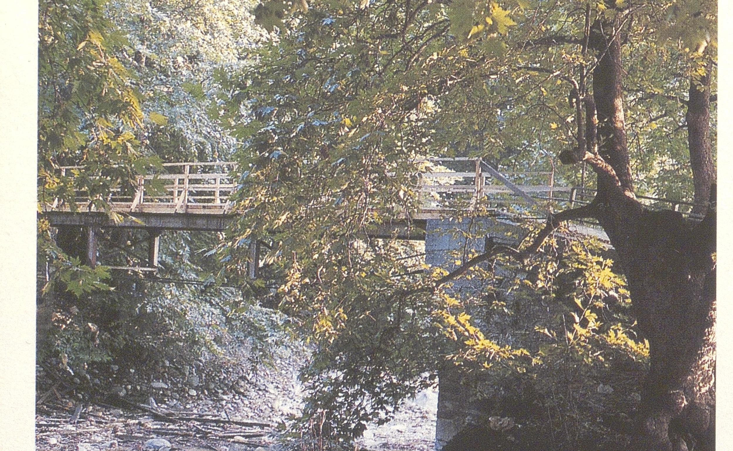 1013000078_0031_photo1