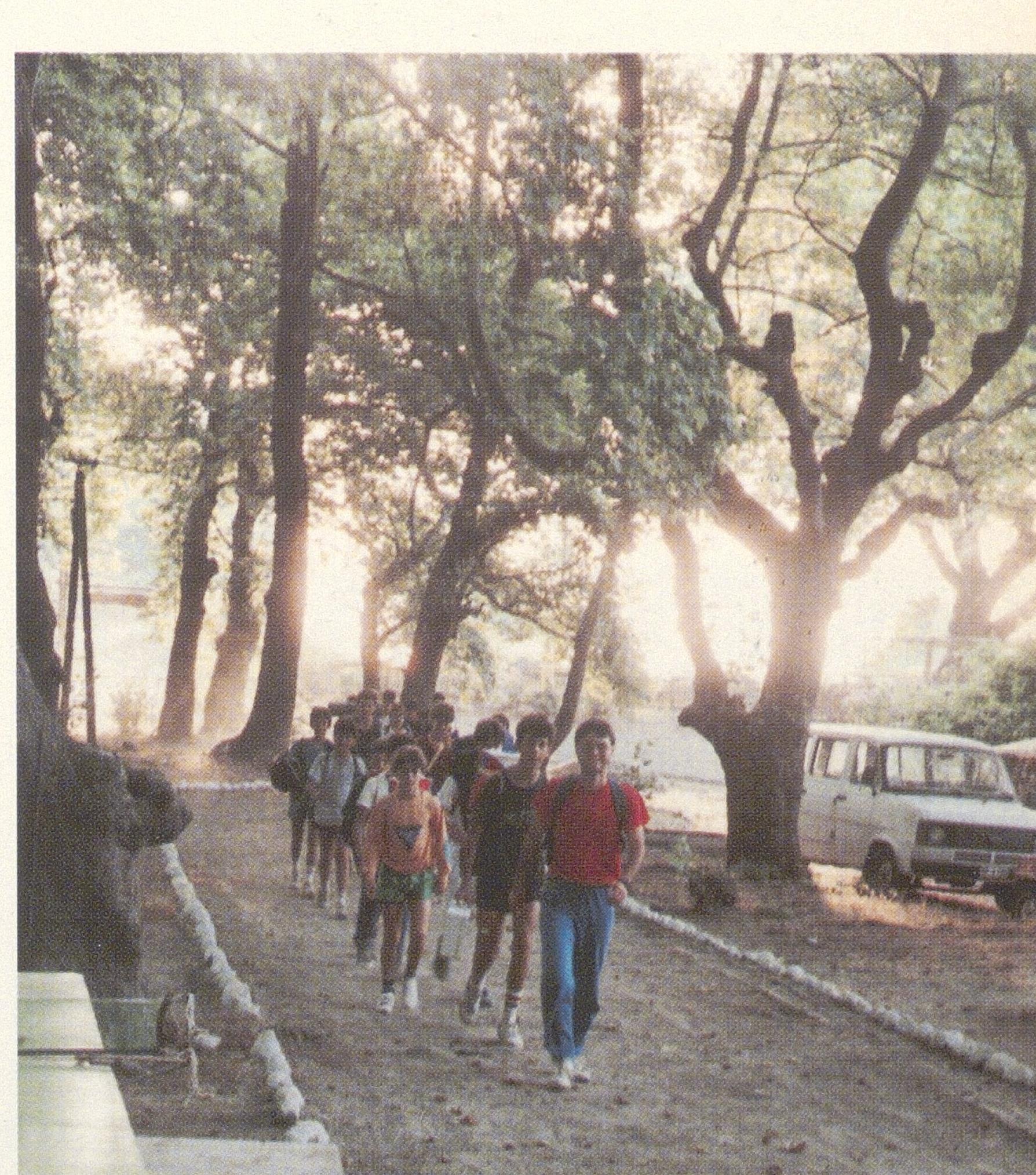 1013000080_0034_photo0