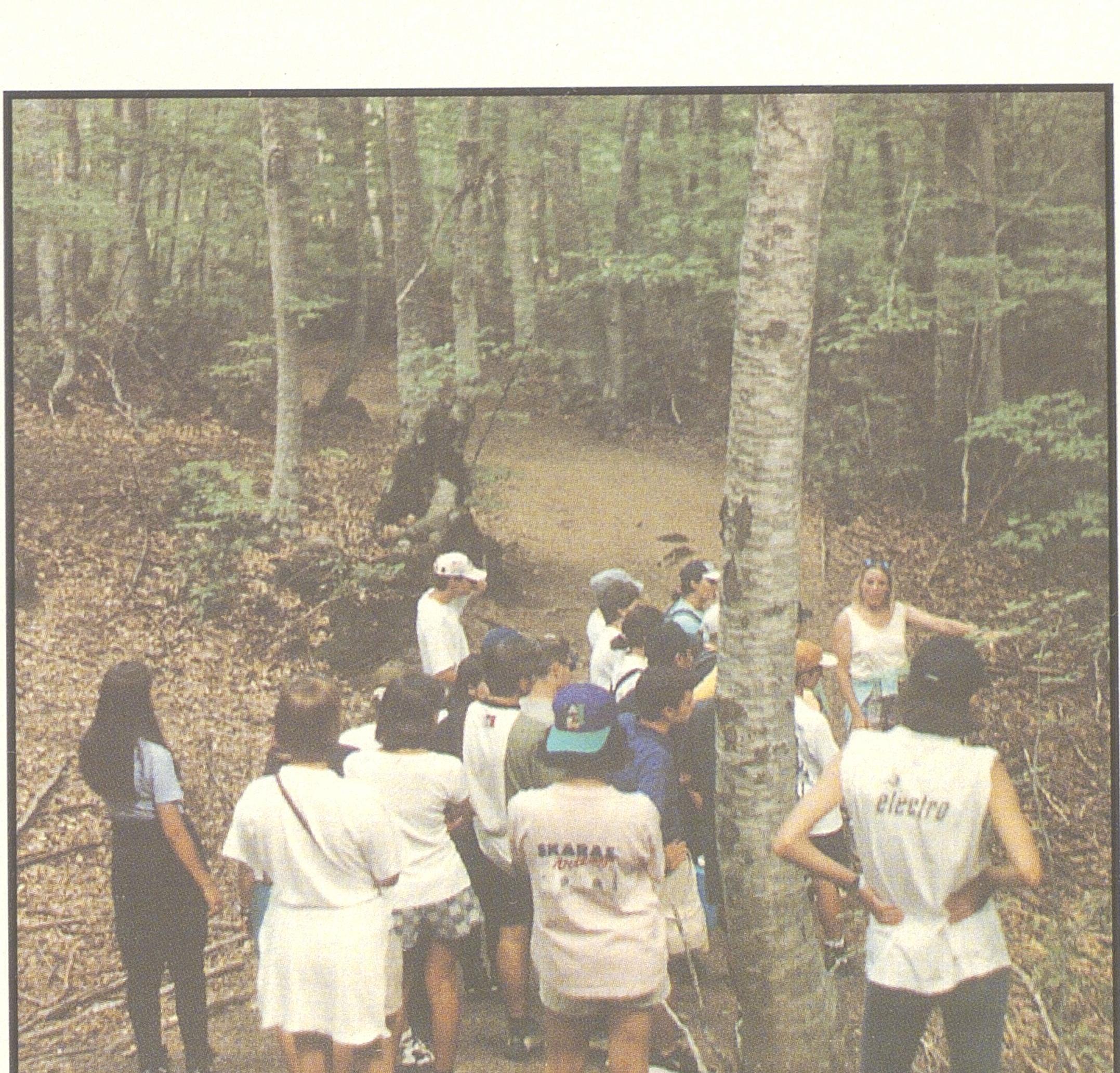 1013000102_0034_photo1