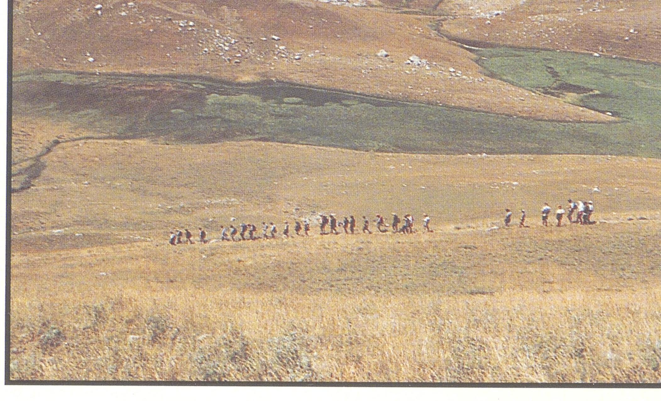 1013000102_0039_photo0