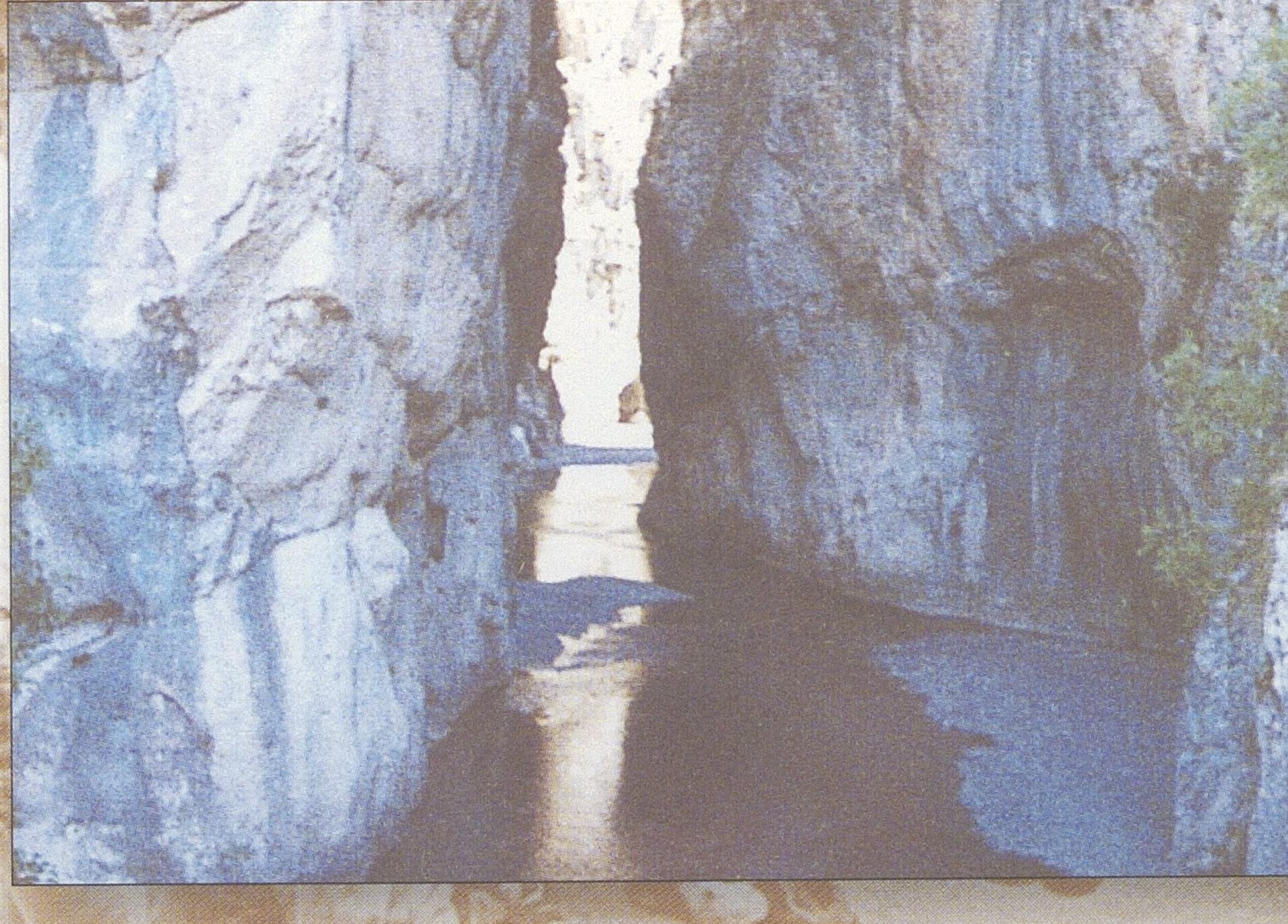 1013000107_0036_photo5