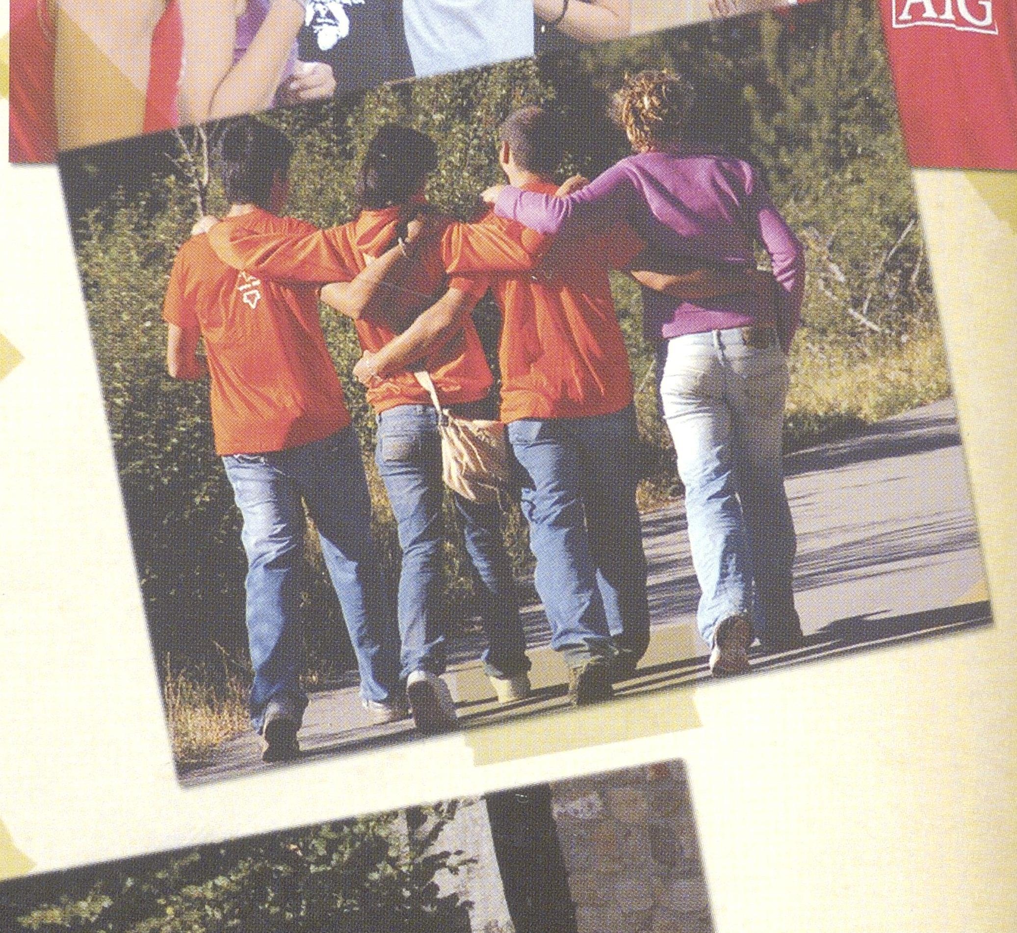 1013000109_0061_photo3