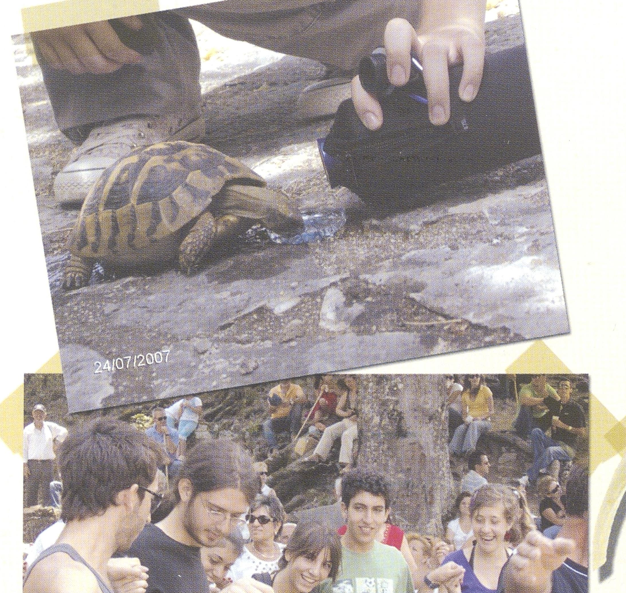 1013000109_0057_photo0