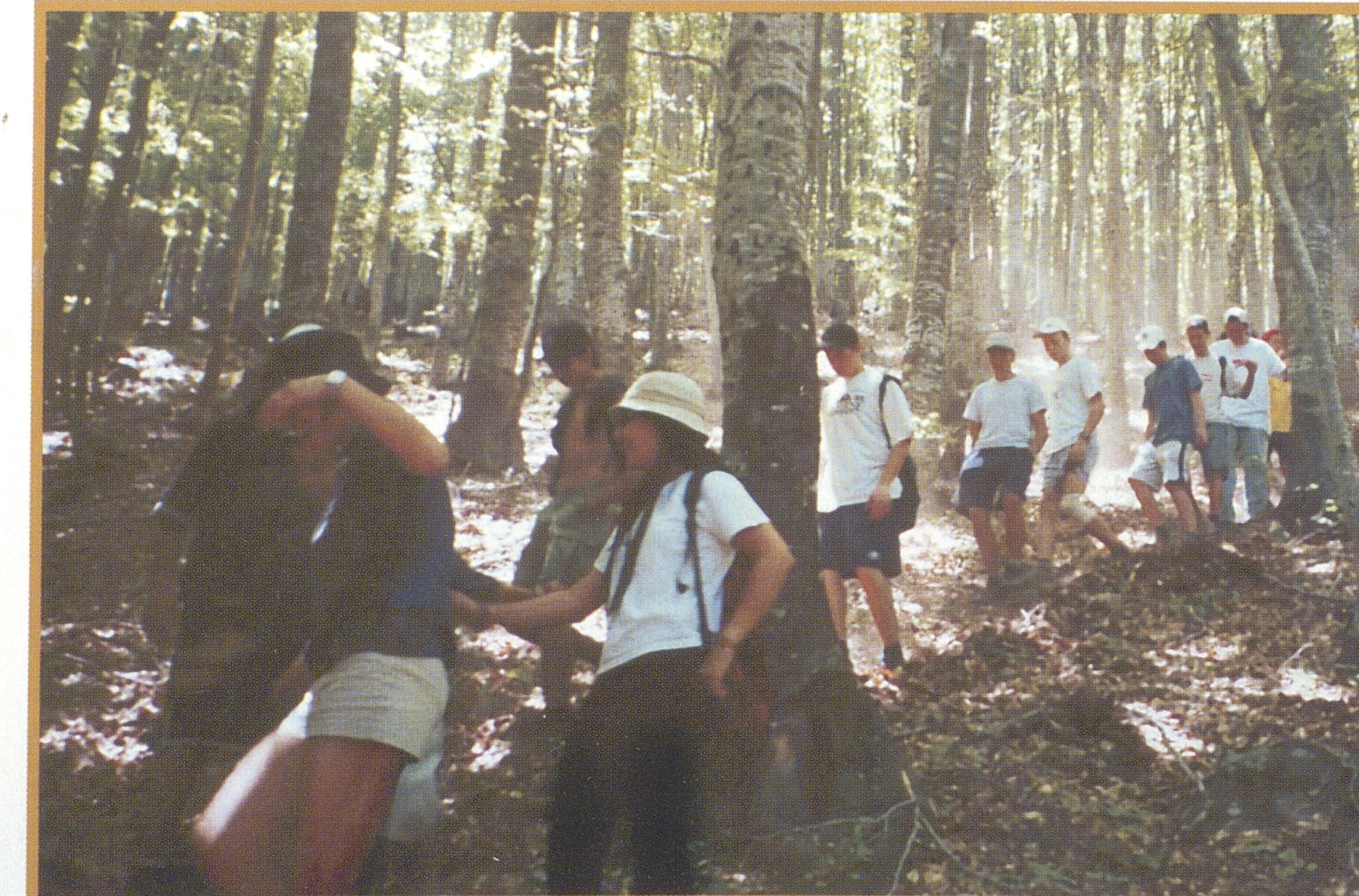 1013000113_0043_photo5