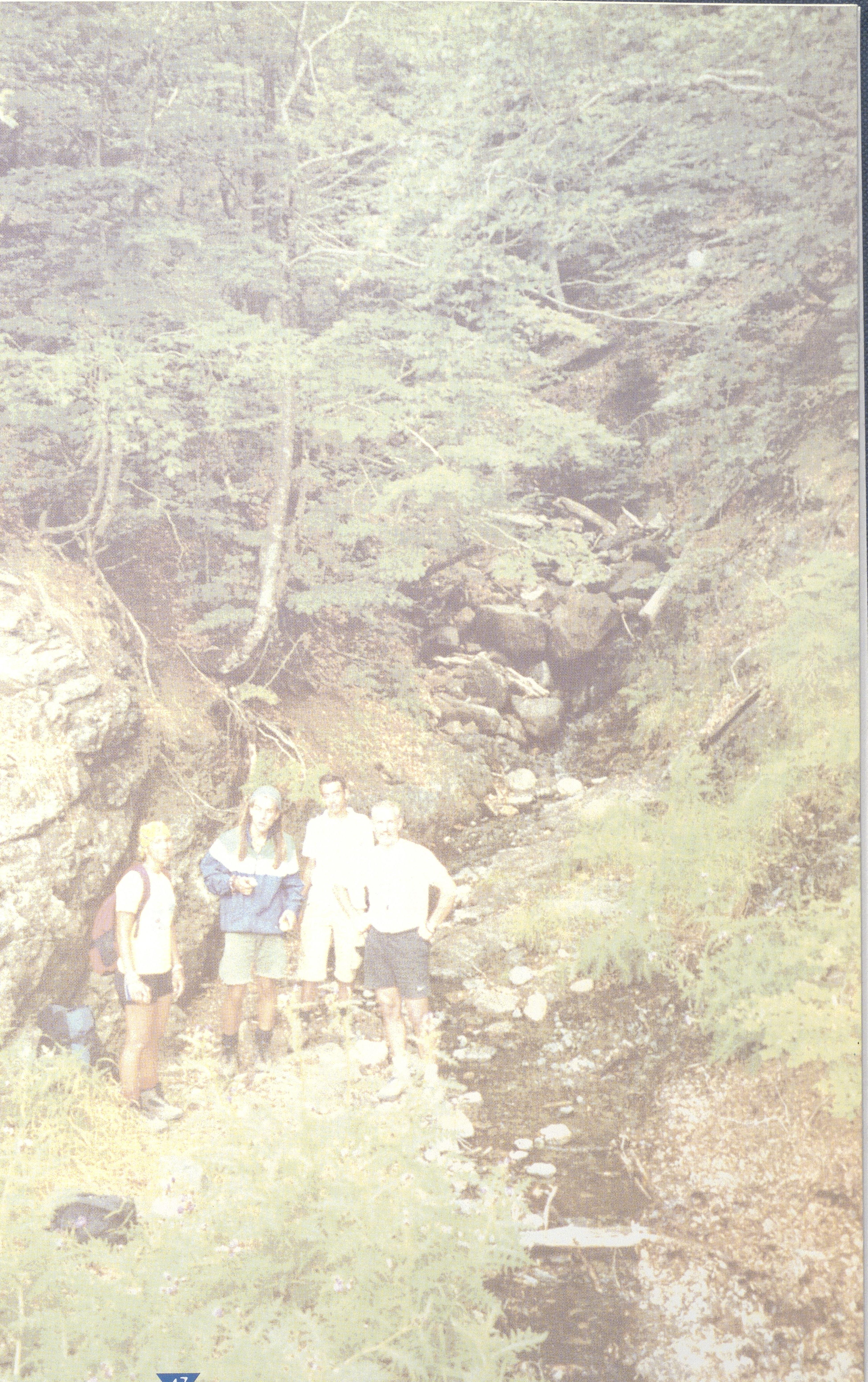 1013000113_0050_photo0