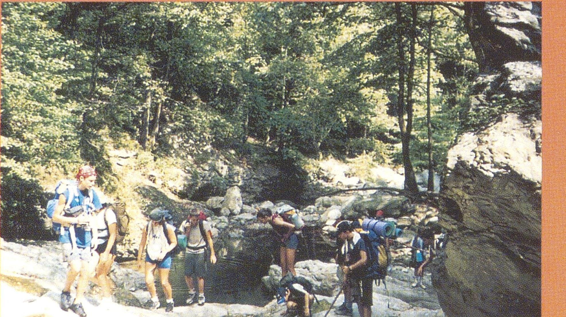 1013000119_0005_photo0