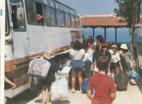 1013000059_0040_3_photo0