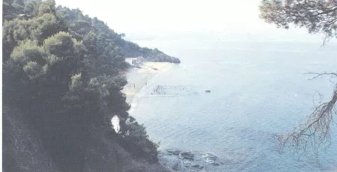 1013000060_0006_3_photo2