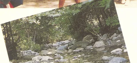 1013000078_0040_photo2