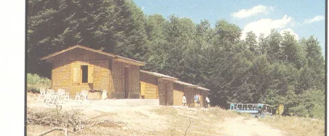1013000102_0037_photo2